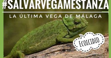 La Junta de Andalucía inicia las expropiaciones para talar 20.000 árboles en la Vega de Mestanza y destruir especies protegidas. ¡El ECOCIDIO sigue adelante!